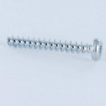 1 x Vis pvc Tête cylindrique TC TORX T20 4X30 Acier zingué