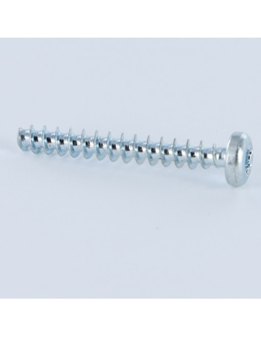 1 x Vis pvc Tête cylindrique TC TORX T10 3X6...