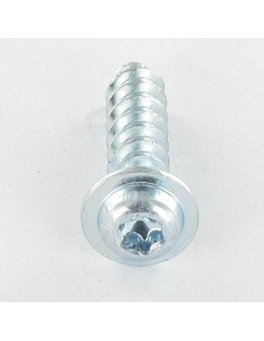 1 x Vis pvc Tête cylindrique TC TORX T10 3X6...