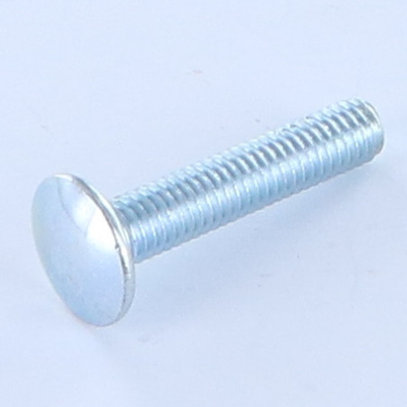 1 x TRCC JAPY tête ronde collet carré M6X20 Collet bas 1.5 Diamètre de tête: 13.5 Classe 8.8 Acier zingué