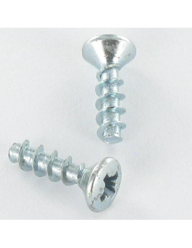 1 x Vis pvc Tête fraisée bombée TFB Pozi 3X10...