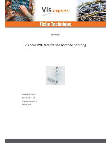 1 x Vis pvc Tête fraisée bombée TFB Pozi 3X10...