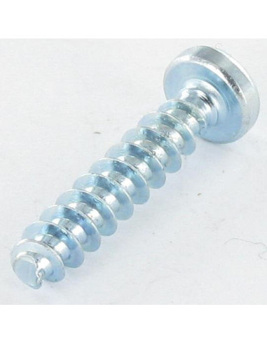 1 x Vis pvc Tête cylindrique bombée TCB Pozi...