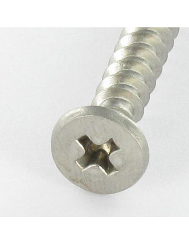 1 x Vis pvc Inox A2 Tête cylindrique TC...