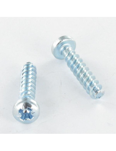 1 x Vis pvc Tête cylindrique bombée TCB Pozi...