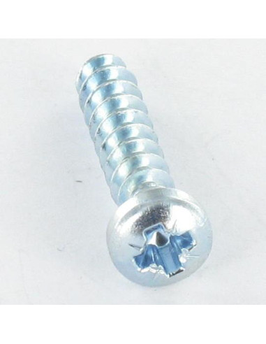 1 x Vis pvc Tête cylindrique bombée TCB Pozi...