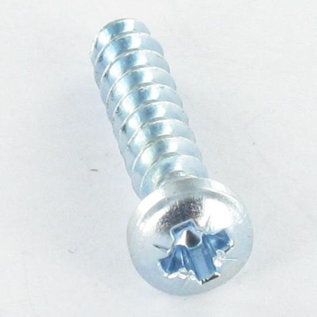 1 x Vis pvc Tête cylindrique bombée TCB Pozi N°1 2.2X6 Filet 30DEGRES Acier zingué
