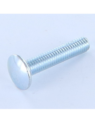 1 x TRCC JAPY tête ronde collet carré M6X30...