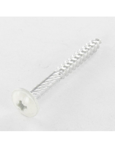 1 x Vis Florale Tête ronde large Pozi N°2 5X45...