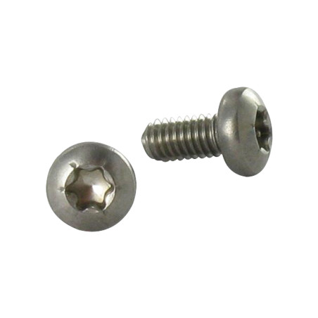 1 x Vis autotaraudeuse Inox A2 Tête cylindrique bombée TCB TORX 4X8 TORX T20