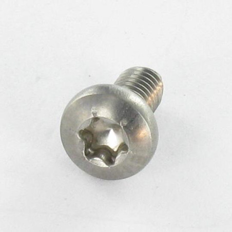 1 x Vis autotaraudeuse Inox A2 Tête cylindrique bombée TCB TORX 4X8 TORX T20