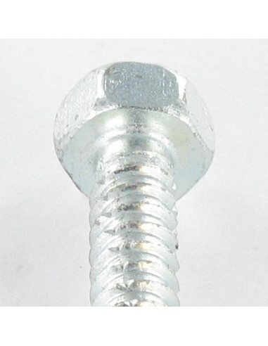 1 x Vis tôle Autotaraudeuse Tête hexagonale TH...