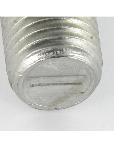 1 x Vis métaux Tête marteau M10X35 Inox