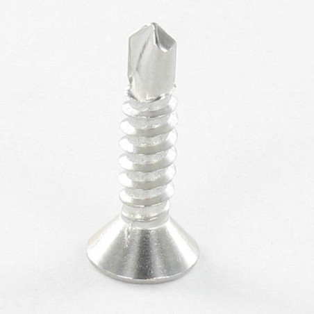 1 x Vis autoperceuse Inox A2 Tête fraisée 5.5X100 TORX T25
