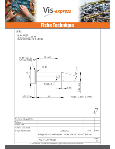 1 x Axe Goupille Percée Tête plate 22X66TROU...
