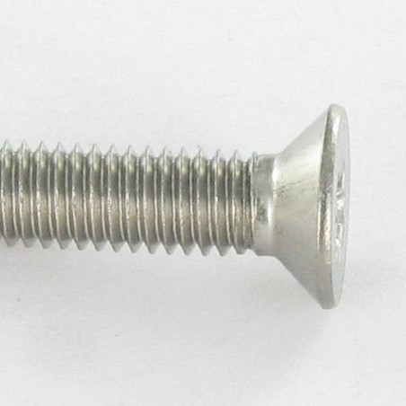 1 x Vis autotaraudeuse Inox A2 Tête fraisée Pozi N°2 M5X20