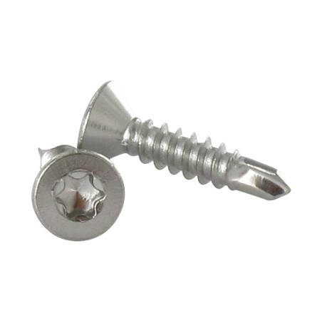 1 x Vis autoperceuse Inox A2 Tête fraisée 5.5X80 TORX T25