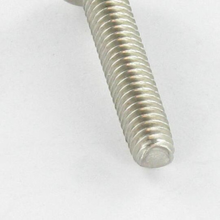 1 x Vis autotaraudeuse Tête cylindrique bombée TCB M6X25 Pozi N°3 Inox A2