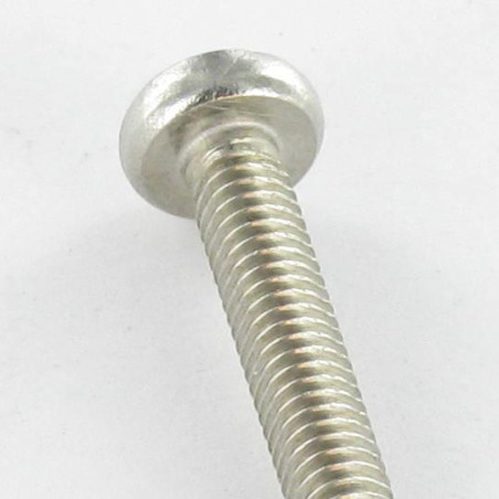 1 x Vis autotaraudeuse Tête cylindrique bombée TCB M6X25 Pozi N°3 Inox A2