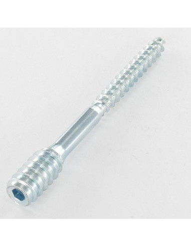 1 x Vis de reglage pour fenêtre 6X80 Filetée...