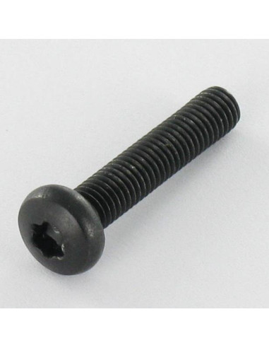 1 x Vis métaux tête cylindrique bombée large...