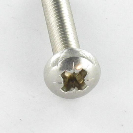 1 x Vis autotaraudeuse Tête cylindrique bombée TCB M5X20 Pozi N°2 Inox A2