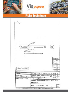 Vis Collerette Laiton 8X30 M3/50 3/50 2