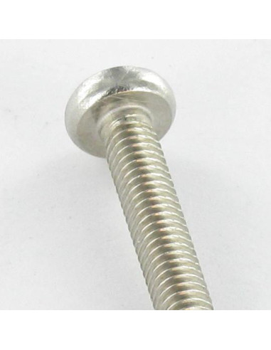 1 x Vis autotaraudeuse Tête cylindrique bombée...