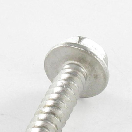 1 x Vis autoperceuse Tête hexagonale TH 5.5X38 Inox A2