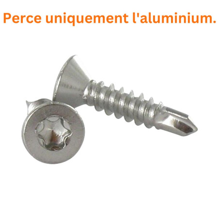1 x Vis autoperceuse Inox A2 Tête fraisée 5.5X19 TORX T25