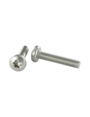 1 x Vis métaux tête cylindrique bombée large...