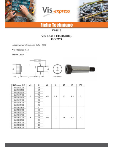 1 x Vis métaux Epaulé Clé de 4 HC4 M6/11 8X12...
