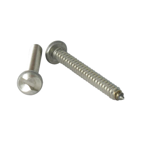 1 x Vis tôle Inviolable Tête cylindrique TC One way 4.2X19 Inox A2