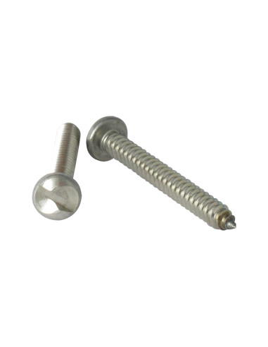 1 x Vis tôle Inviolable Tête cylindrique TC One...