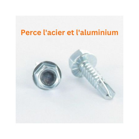 1 x Vis autoperceuse Tête hexagonale TH 4.8X19 Inox AISI 410