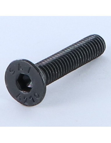 1 x Vis métaux Inox A2 FHC tête fraisée...