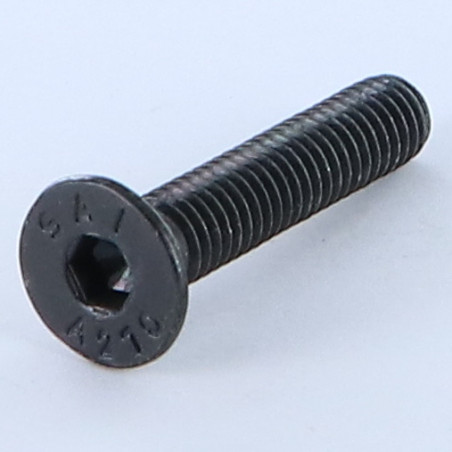 1 x Vis métaux Inox A2 FHC tête fraisée empreinte hexagonale creuse Clé de 4 HC4 M6X30 Noir Filetage total