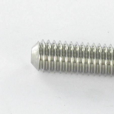 1 x Vis métaux Inox A2 Sans tête six pans creux (sthc) Clé de 4 HC4 M6X30 Bout cuvette