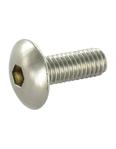 1 x Vis métaux Poelier Clé de 4 HC4 M6X20 Inox
