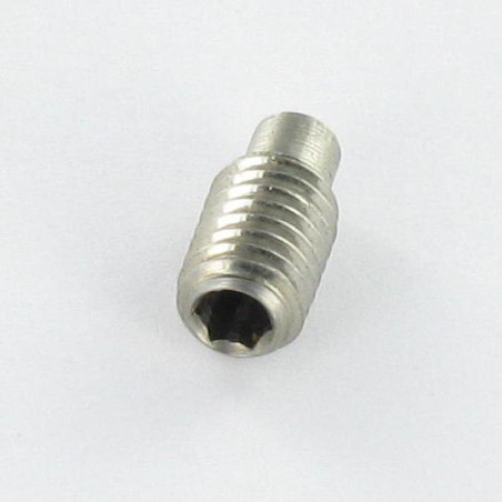 1 x Vis métaux Inox A2 Sans tête six pans creux (sthc) M4X8 Clé de 2 HC2 Bout téton