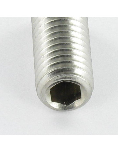 1 x Vis métaux Inox A2 Sans tête six pans creux...