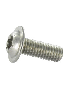 Vis métaux Tête bombée Embase collerette TORX T30 M6X100...