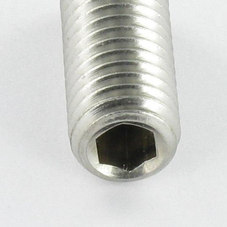 1 x Vis métaux Inox A2 Sans tête six pans creux (sthc) Clé de 4 HC4 M8X45 Bout plat