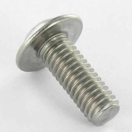 1 x Vis métaux Tête bombée Embase collerette TORX T20 M4X12 Filetage total Inox A2