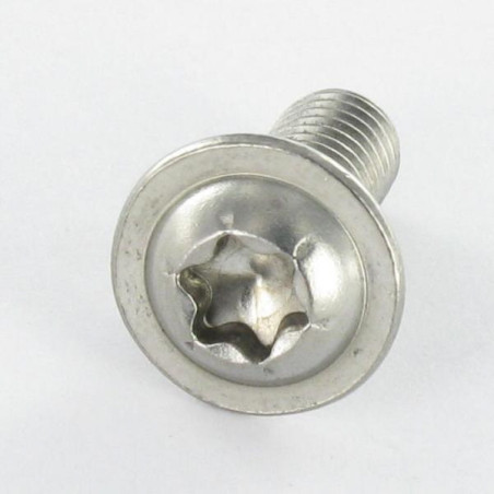 1 x Vis métaux Tête bombée Embase collerette TORX T30 M6X70 Filetage total Inox A2
