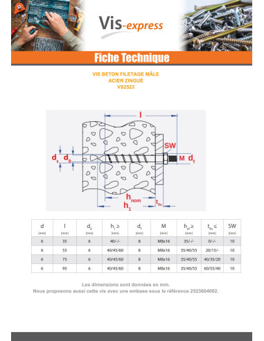 1 x Vis béton Tête FILETEE MALE 6X55 Acier zingué