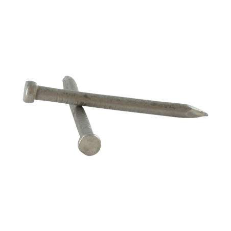 1 x Kg de pointes Tête homme Longueur 25 Diamètre 1.5 Inox A2