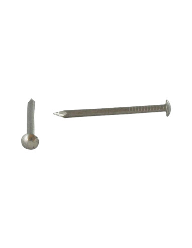 1 x Kg de pointes Inox A2 Tête ronde TR 2X30