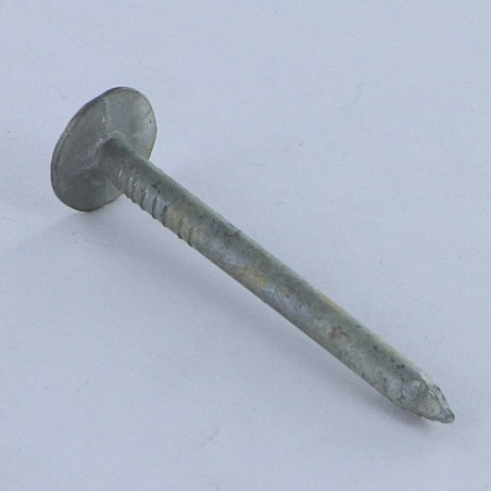 1 x Kg de pointes ARDOISE Tête extra large TEL 3X25 Diamètre de tête: 12 Forte tenue à la corrosion Acier galvanisé