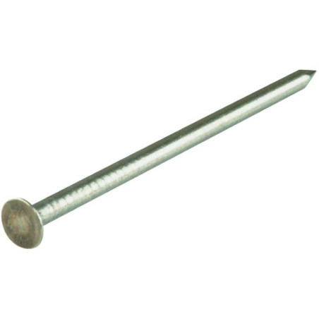 1 x Kg de pointes Inox A2 Tête plate 2.0X25